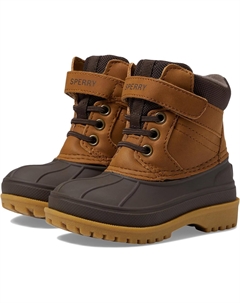 Зимние ботинки Storm Hopper A/C, цвет Tan Sperry