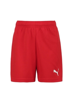 Обычные тренировочные шорты TeamRise, красный Puma
