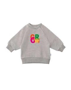 Толстовка Grow, серый Лилипут