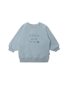 Толстовка little and loved, светло-синий Лилипут