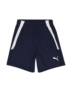 Обычные тренировочные шорты Team Liga, темно-синий Puma