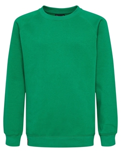 Толстовка Red, зеленый Hummel