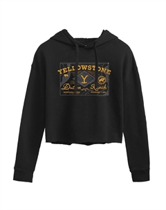 Укороченная толстовка с логотипом Yellowstone для юниоров Licensed character