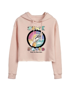 Укороченная толстовка с рисунком Pink Floyd Robot для юниоров «Wish You Were Here» Licensed character