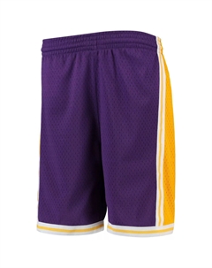 Молодежные шорты Mitchell & Ness Purple Los Angeles Lakers Hardwood Classics Swingman Unbranded