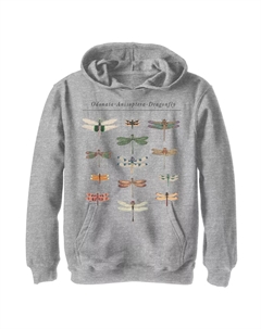 Пуловер с капюшоном и плакатом для мальчиков 8–20 лет со стрекозами Licensed character