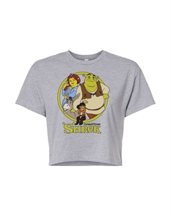 Укороченная футболка для юниоров Shrek Group, серый Licensed character