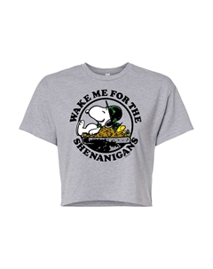 Укороченная футболка Juniors' Peanuts Wake Me Shenanigans, серый Licensed character