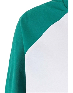 Топ с длинными рукавами Raglan, бело-зеленый Urban classics