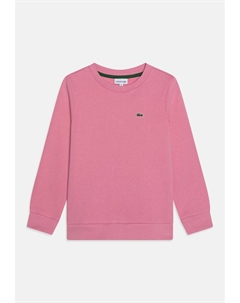 Свитер Unisex, резеда розовый Lacoste