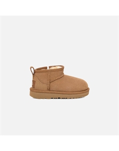 Ботинки TD Classic Ultra Mini, цвет Chestnut Ugg