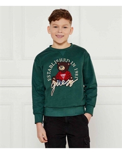 Толстовка детская с вышивкой медведя, зеленый Guess