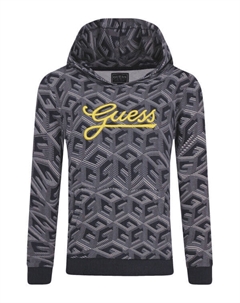 Толстовка детская с принтом и логотипом бренда, серый Guess