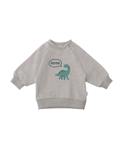 Худи Sweatshirt Dino, серый Лилипут