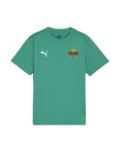 Топ Performance Shirt TeamGoal, цвет jade Puma