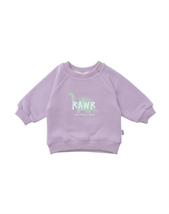 Худи Sweatshirt Dino Rawr, сиреневый Лилипут
