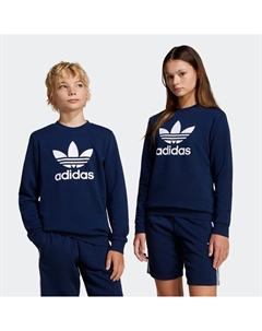 Худи Sweatshirt Trefoil, темно-синий Adidas originals