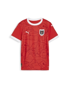Спортивный топ Performance Shirt Österreich 2024, красный Puma