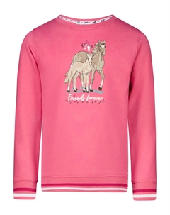 Худи Sweatshirt Star Stable, розовый Salt and pepper