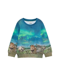 Худи Sweatshirt, цвет blue/aqua S.oliver