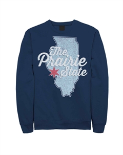 Лонгслив с рисунком Illinois "The Prairie State", синий Unbranded