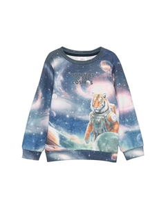 Худи Sweatshirt, цвет navy/night blue S.oliver