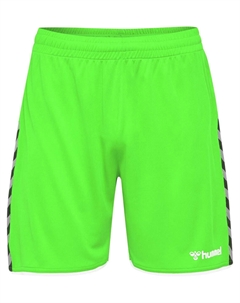 Спортивные штаны Verstellbare Taille Shorts Hmlauthentic Multisport Kinder, цвет GREEN GECKO Hummel