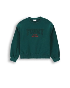 Толстовка Sweatshirt, зеленый Coccodrillo