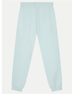 Спортивные брюки стандартного кроя, голубой Guess