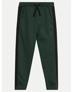 Спортивные брюки стандартного кроя, зеленый 4f