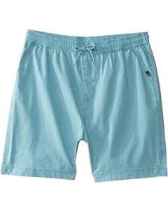 Шорты Kids Taxer Walkshorts, цвет Cameo Blue Quiksilver