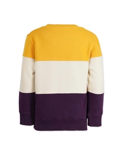 Толстовка 3C BLOCK, мультиколор Band of rascals