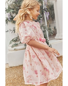 Шифоновое платье с рюшами Кремово-розовый цветочный мотив, розовый Next