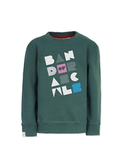 Пуловер Sweat Shapes, цвет cilantro-green Band of rascals