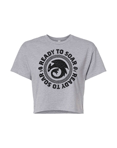 Укороченная футболка «Как приручить дракона» для юниоров, серый Licensed character