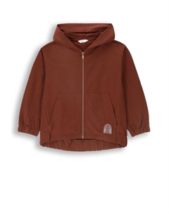 Толстовка, коричневый Coccodrillo
