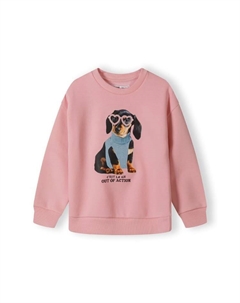 Толстовка s 20fleece74, розовый Minoti