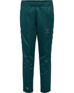Спортивные брюки Hmlcore Multisport Kinder, цвет !sea moss Hummel