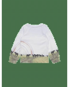 Толстовка sOliver langarm, кремовый S.oliver