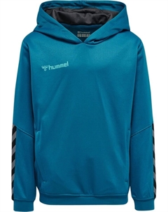 Худи Poly Hmlauthentic Multisport Kinder, цвет celestial Hummel