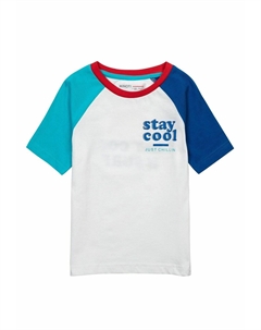 Футболка с принтом CONTRAST SLEEVES, цвет white / blue / green Minoti