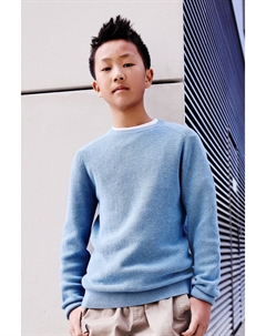 100% хлопок, трикотажный джемпер с круглым вырезом (3 16 лет), синий Next