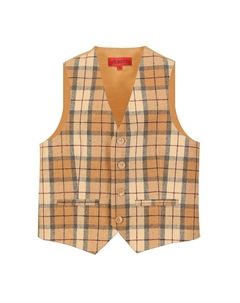 - Твидовый клетчатый жилет для делового костюма для мальчиков, цвет Gold Plaid Gioberti