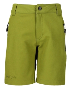 Брюки Regular Pants Scorpio, цвет Lime Zigzag