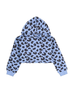 Толстовка, цвет Opal Tom tailor