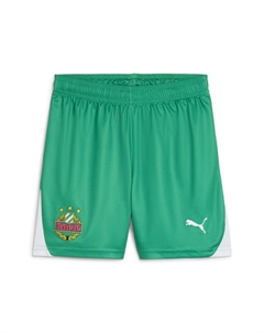 Брюки Regular Workout Pants SK Rapid Wien, зеленый Puma