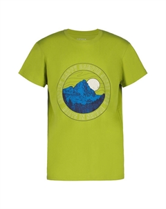 Спортивная футболка Performance, зеленый Icepeak