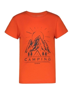 Спортивная футболка Performance, оранжевый Icepeak