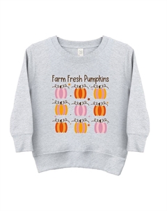 Толстовка с рисунком Farm Fresh Pumpkins Chart для малышей, цвет Heather Grey The juniper shop
