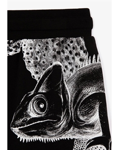 Спортивные брюки, черный Gulliver